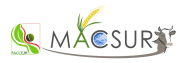 MACSUR_logo_transparent.png MACSUR_logo_transparent.png