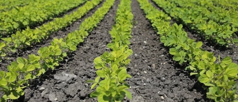 ERA-NET Cofund on Sustainable Crop Production