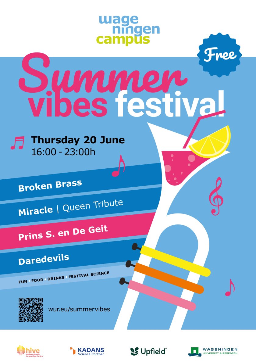 Poster - Summervibes Festival 2024