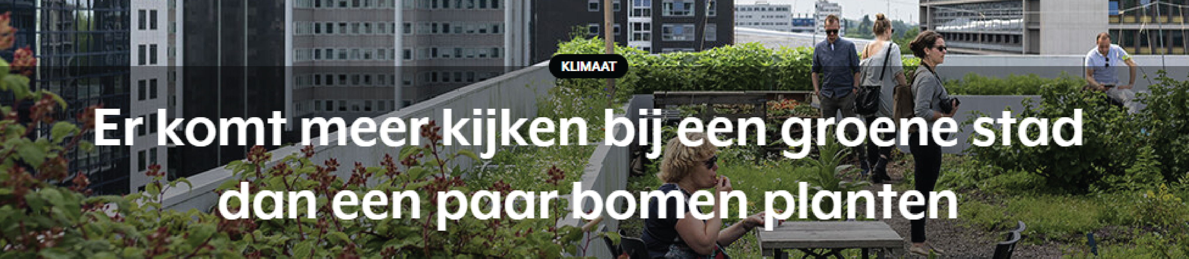 Er komt meer kijken bij een groene stad dan een paar bomen planten - Vrij Nederland, juli 2022 Er komt meer kijken bij een groene stad dan een paar bomen planten - Vrij Nederland, juli 2022