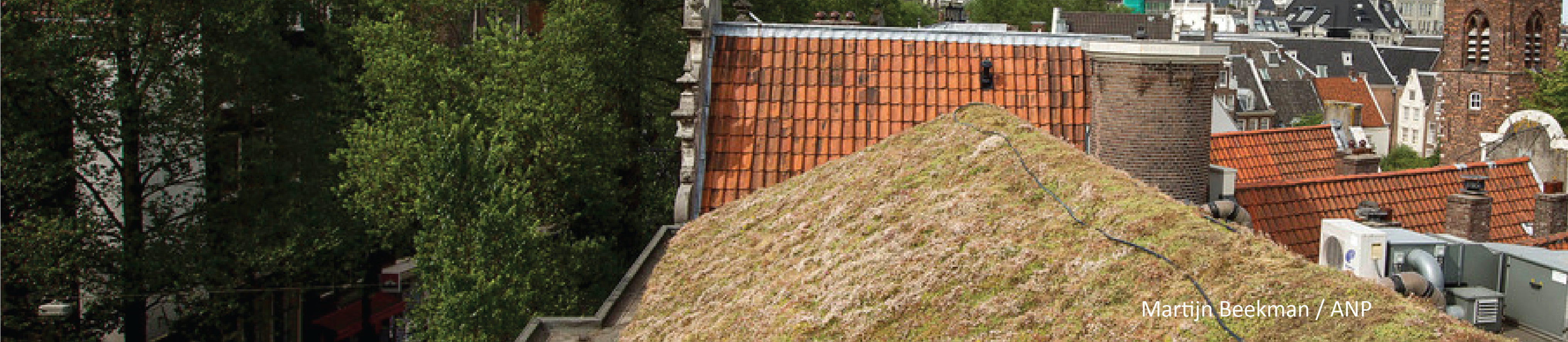Gaat een groen dak echt twee keer zo lang mee als een normaal dak? - Volkskrant, september 2019   