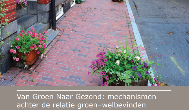 uitsnedesproducten_groen_welbevinden.png uitsnedesproducten_groen_welbevinden.png