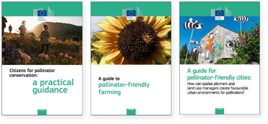 Een paar voorbeelden uit de serie met praktische gidsen voor verschillende doelgroepen. Bron: EU Pollinator Information Hive.
