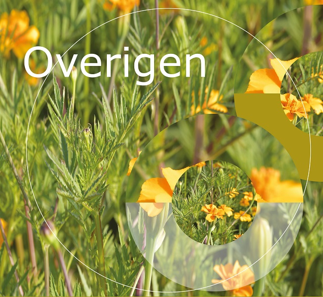 Overige groenbemesters Overige groenbemesters